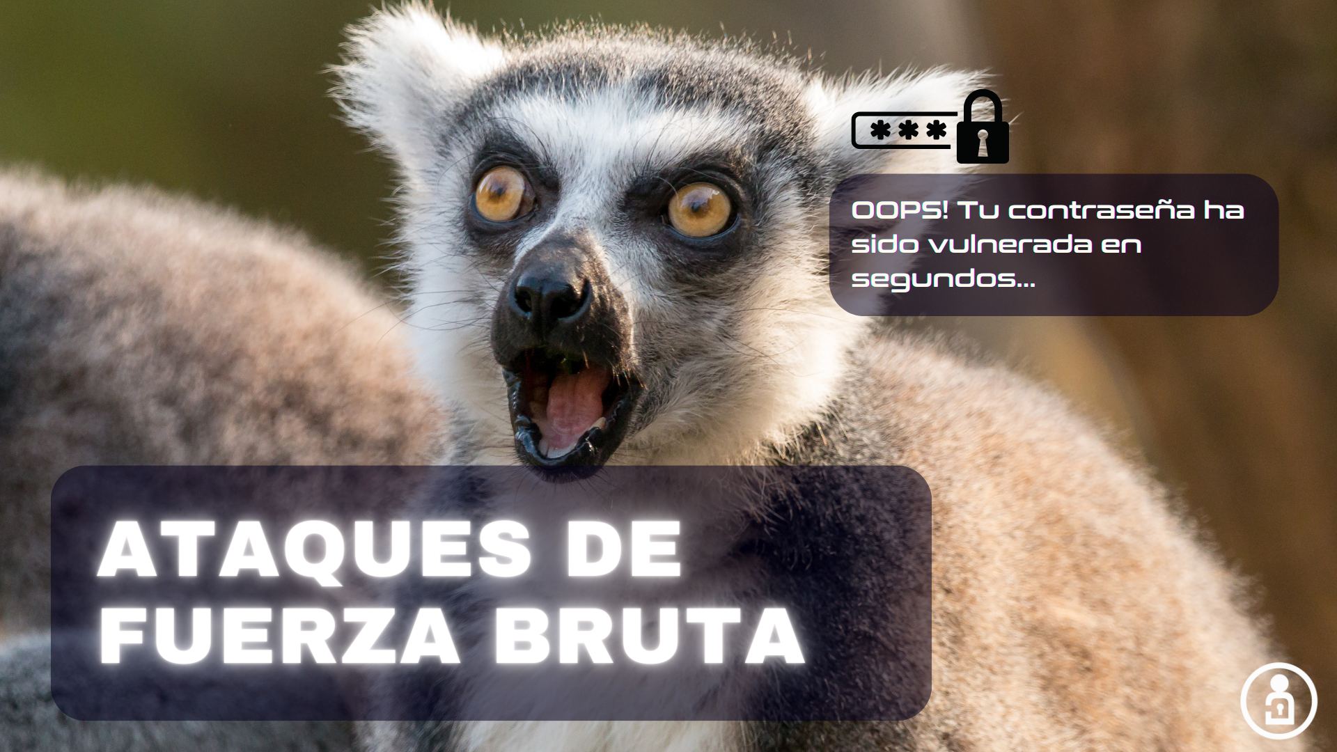 Ataques de fuerza bruta